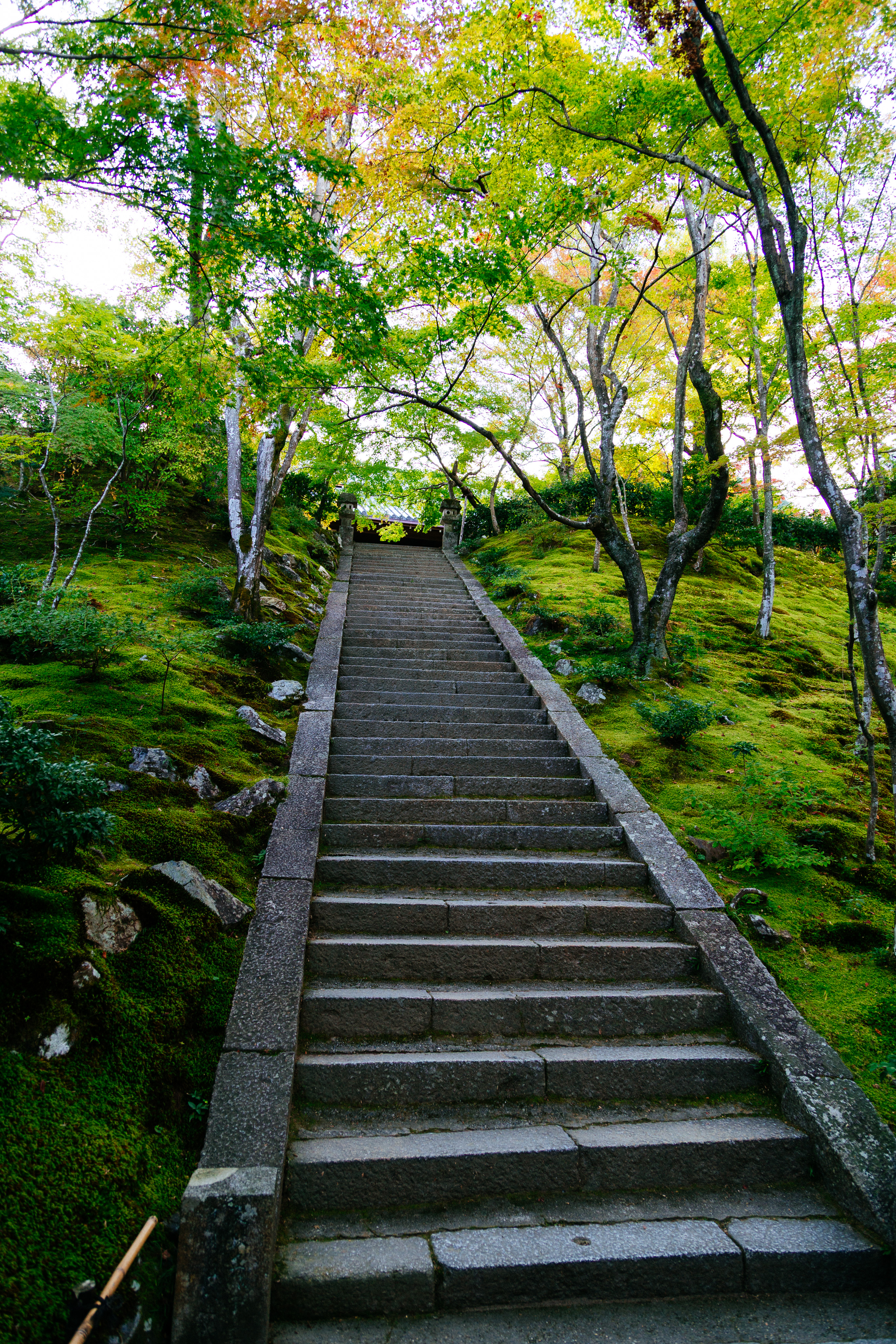Stairs to a temple