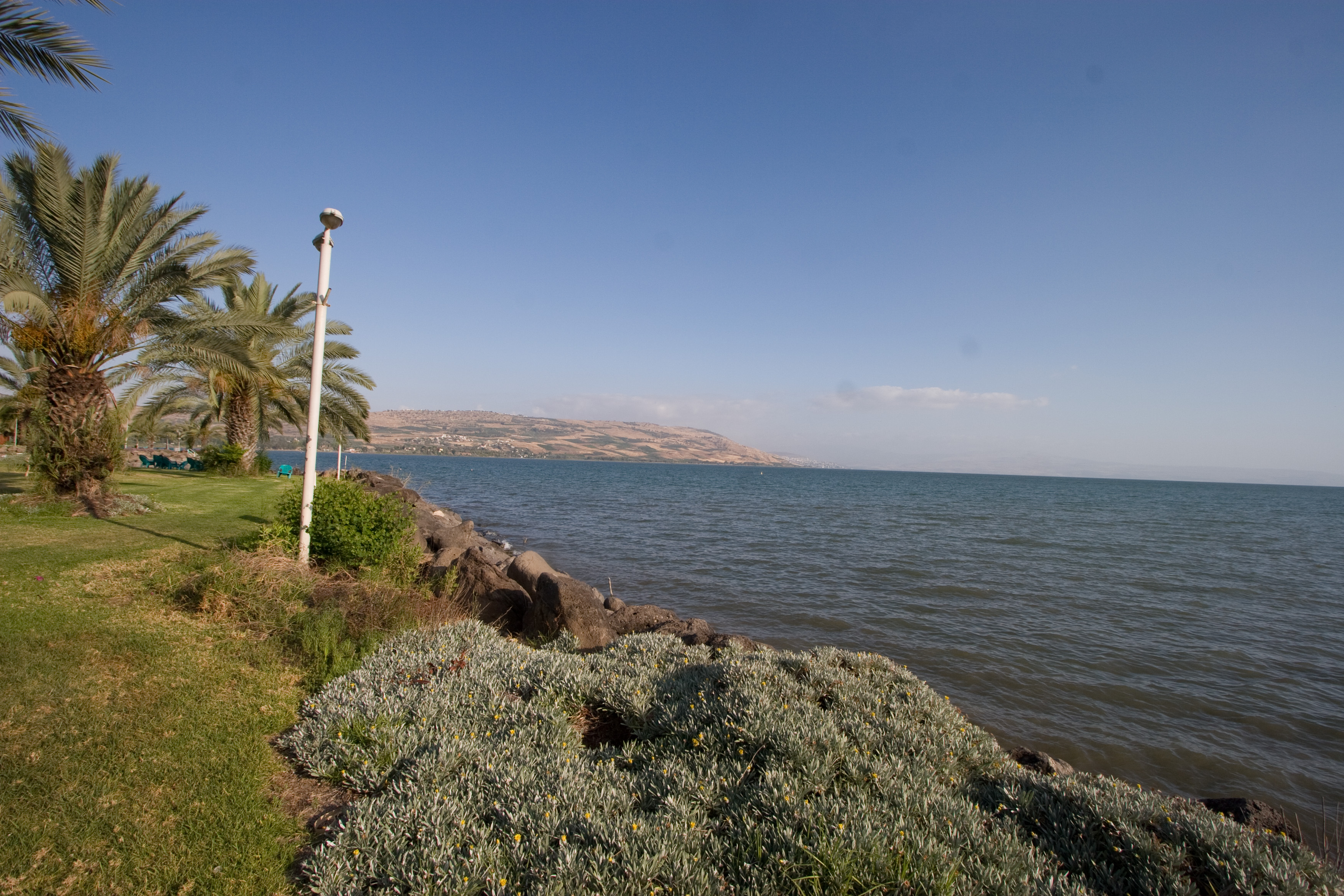 _MG_8048.CR2