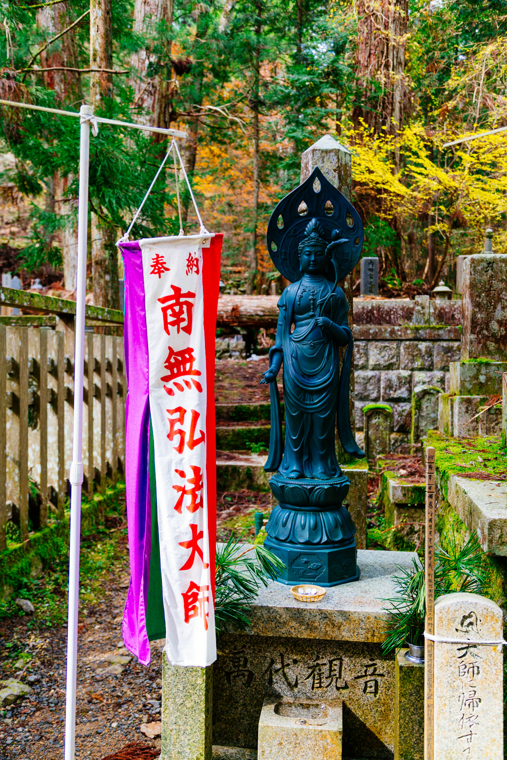 IMG_4679.CR2