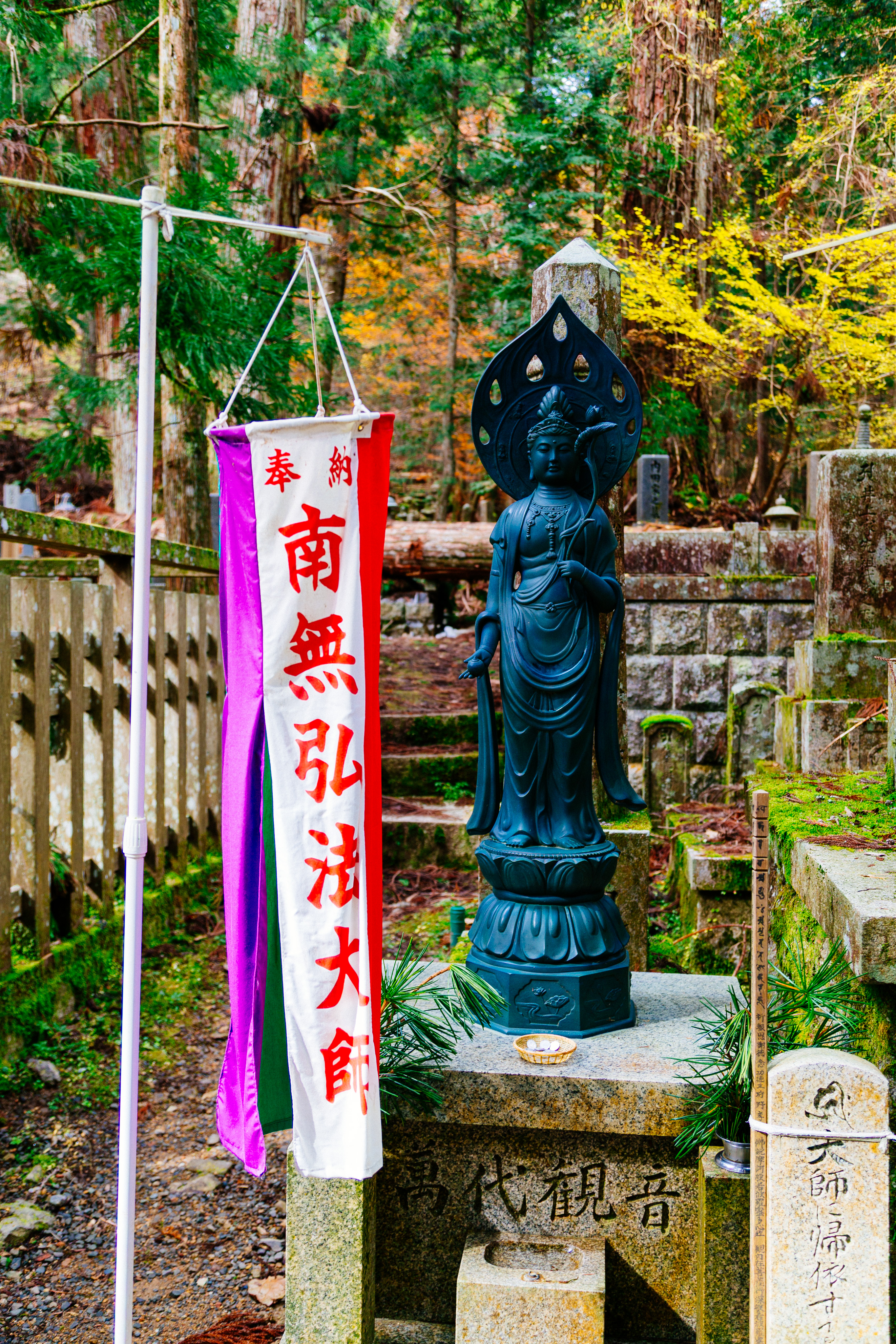 IMG_4679.CR2