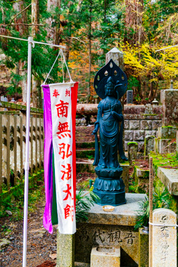 IMG_4679.CR2