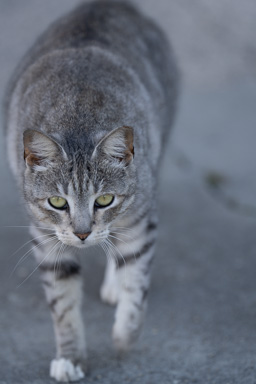 _DSC3566.ARW