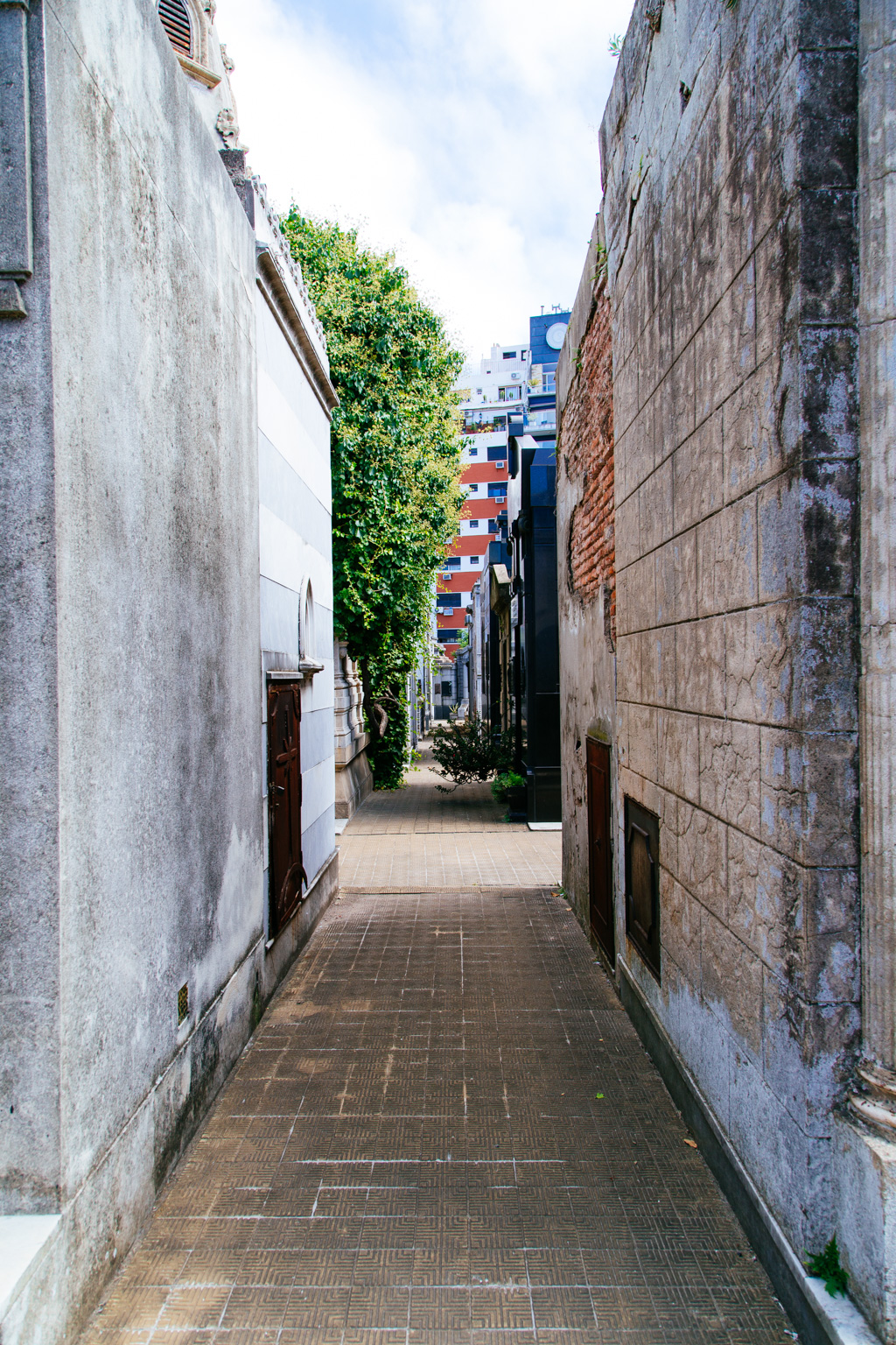 IMG_5013.CR2
