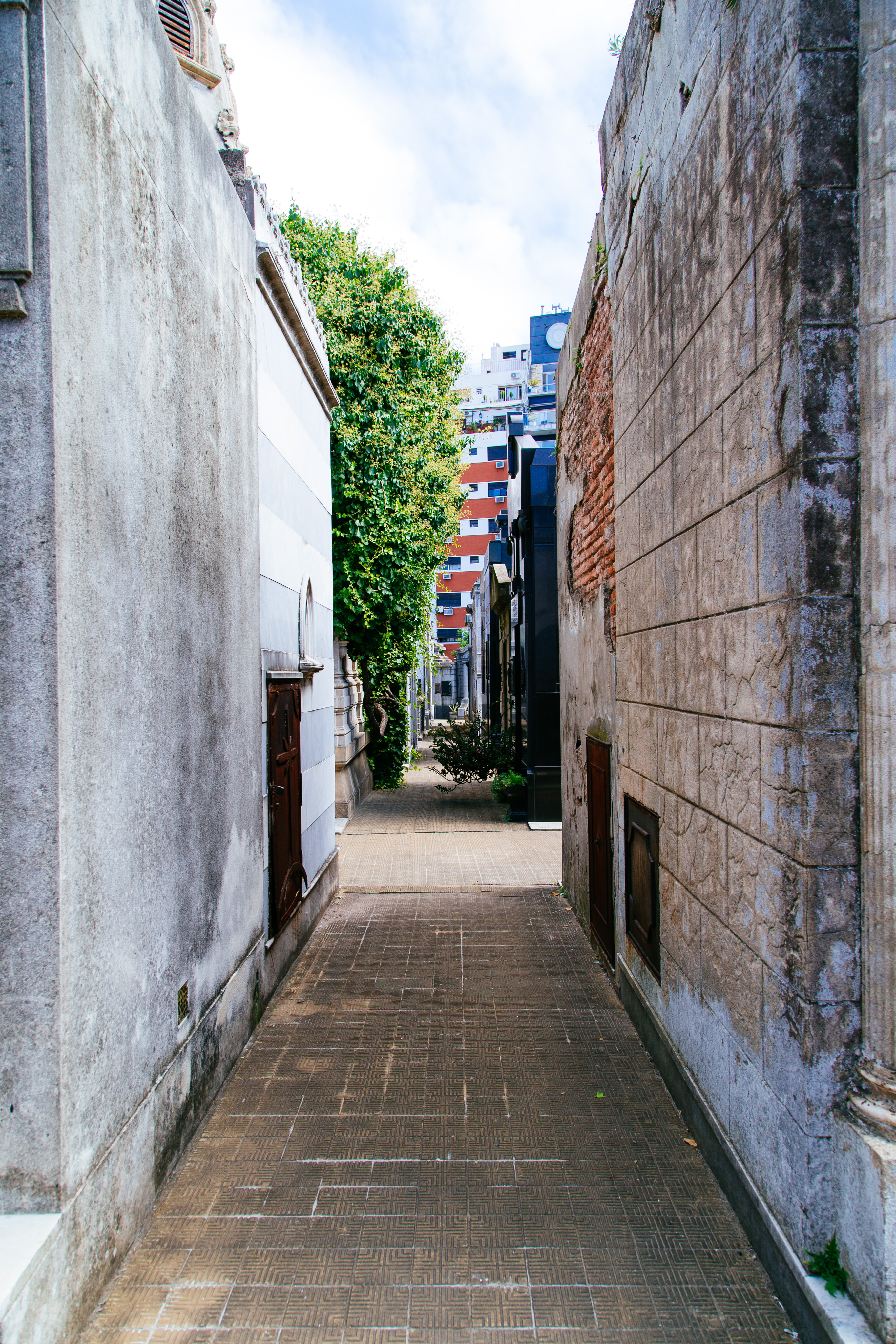 IMG_5013.CR2