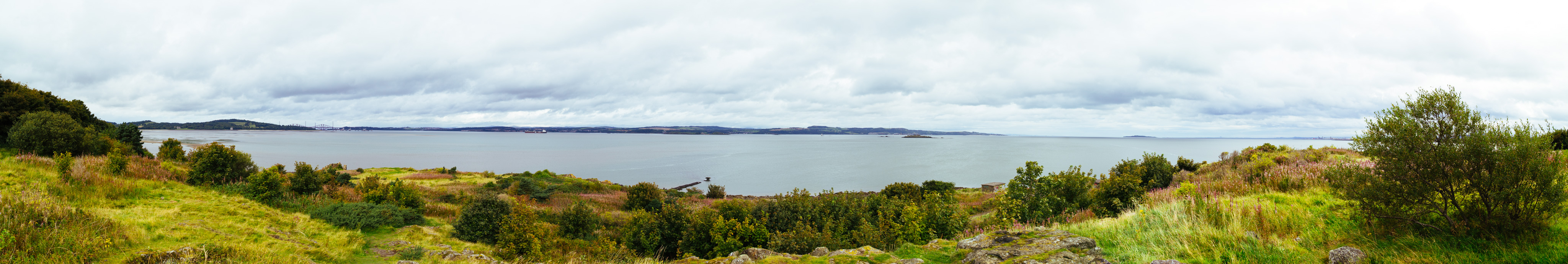 IMG_3755-Pano.dng