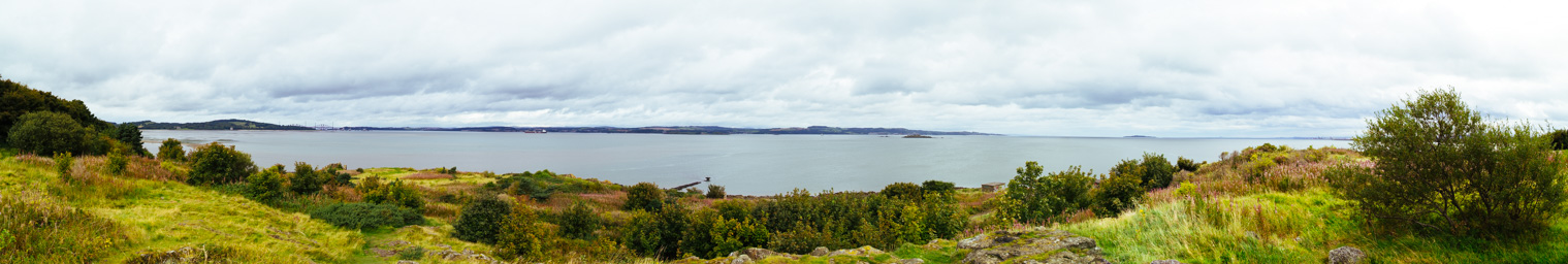 IMG_3755-Pano.dng