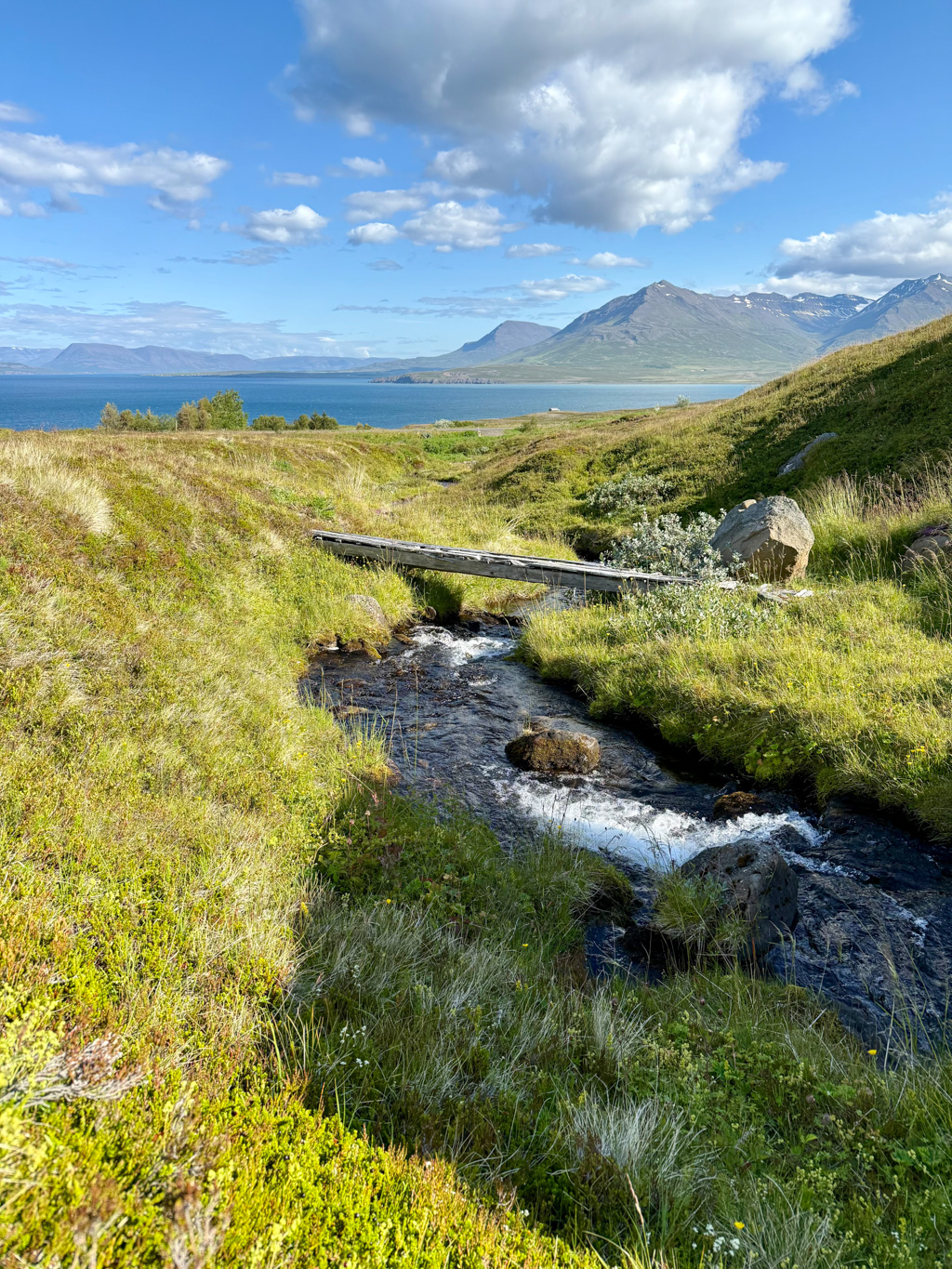 Hike stream