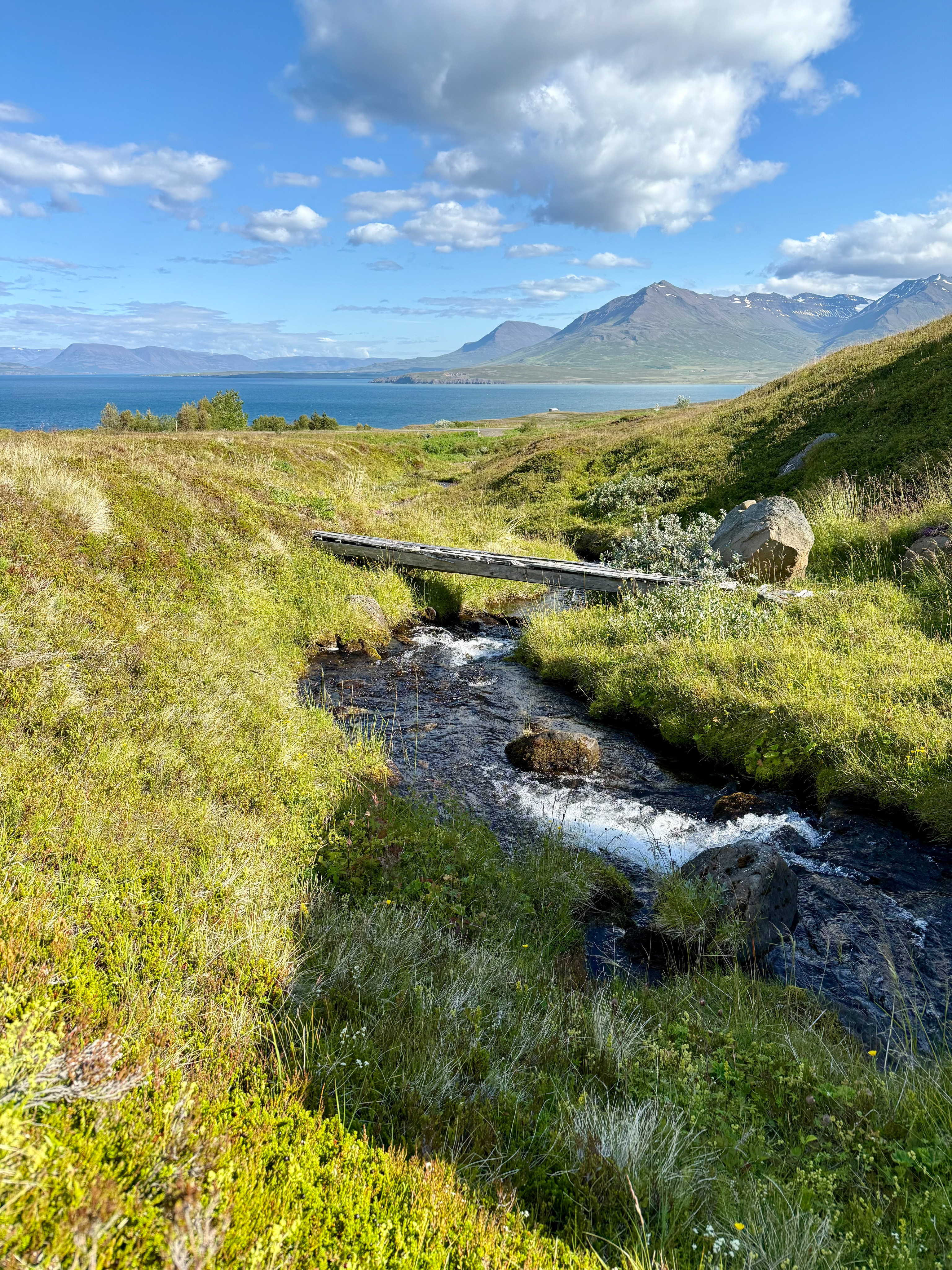 Hike stream