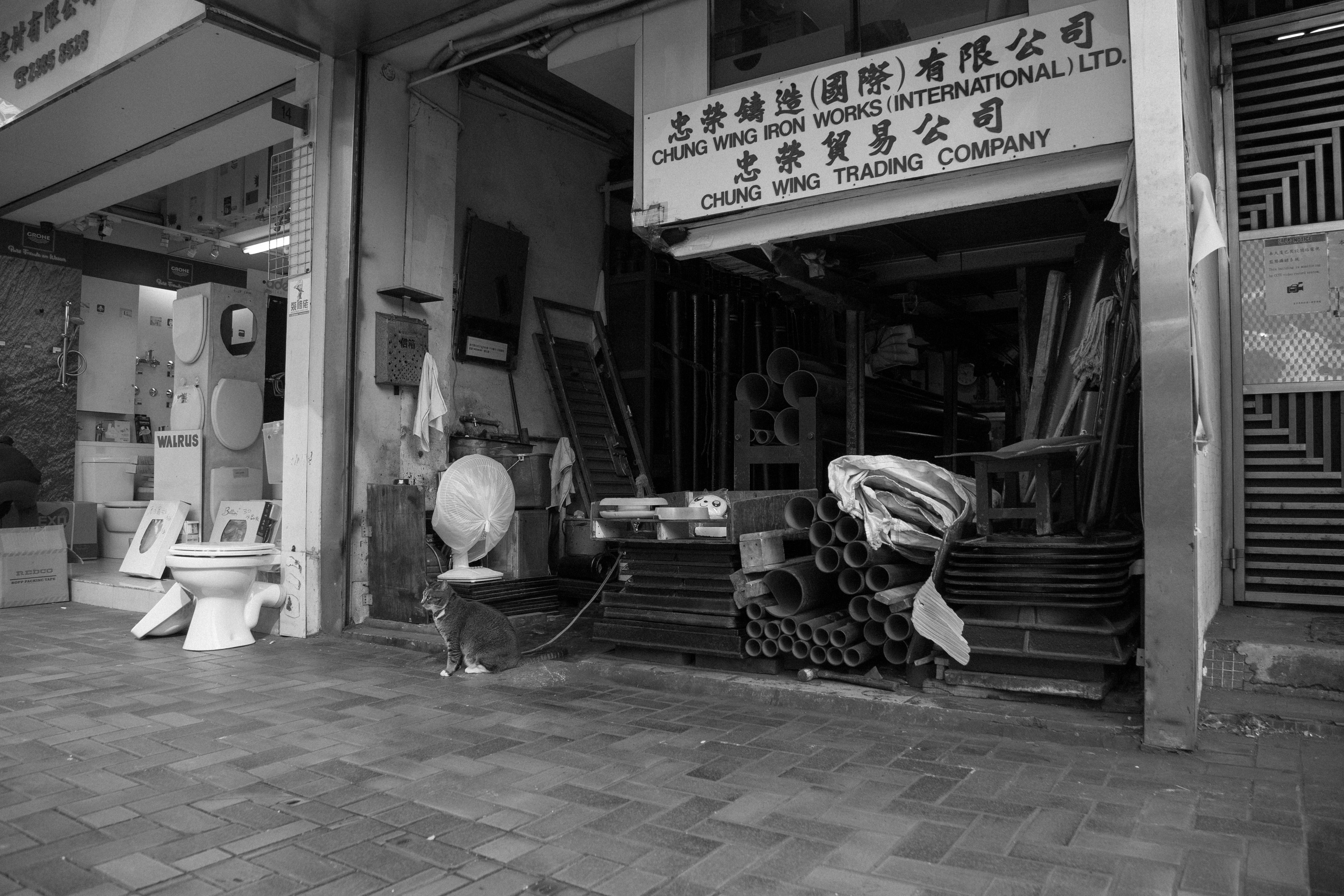 IMG_3139.CR2