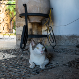 _DSC3080.ARW