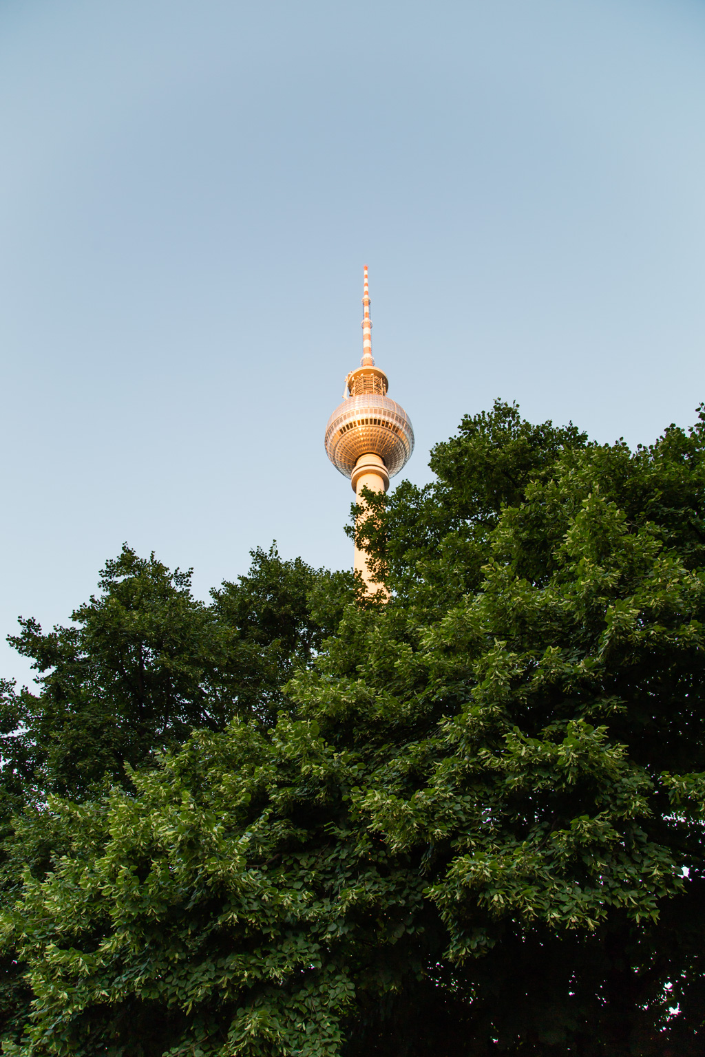 IMG_0545.CR2