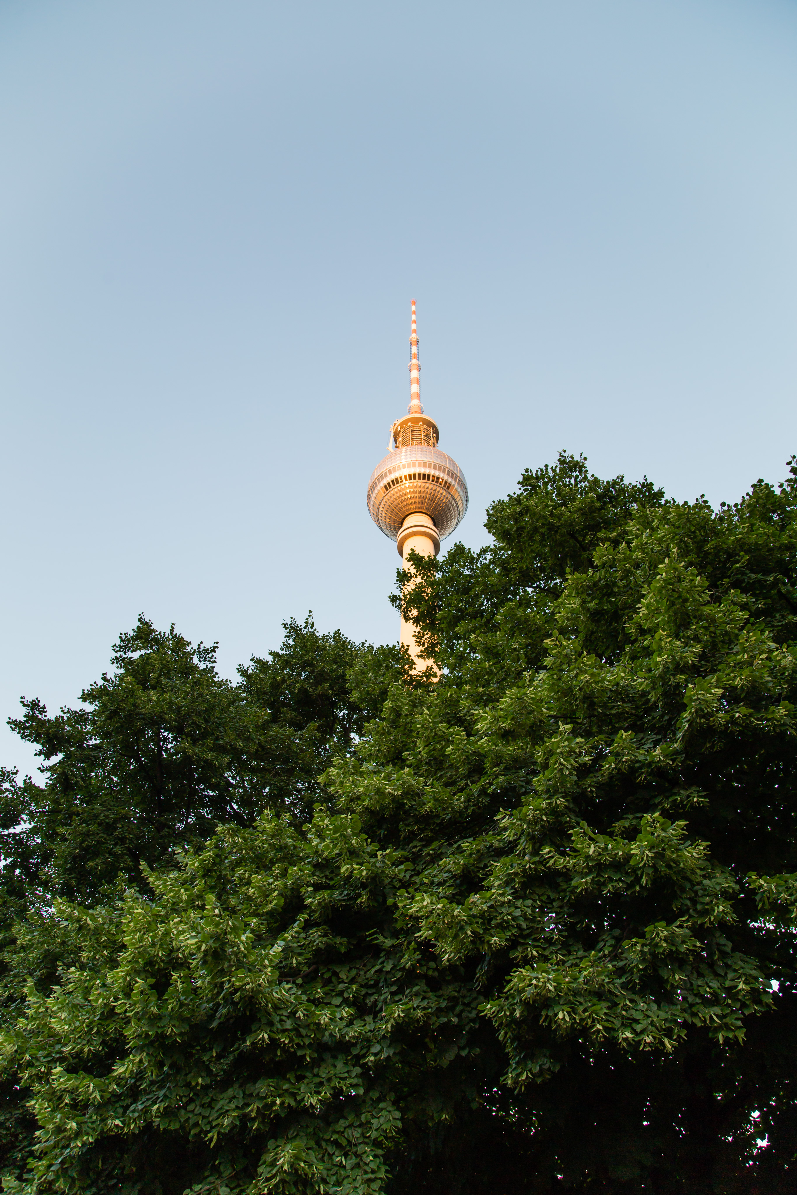 IMG_0545.CR2