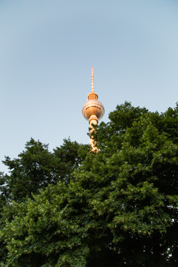 IMG_0545.CR2