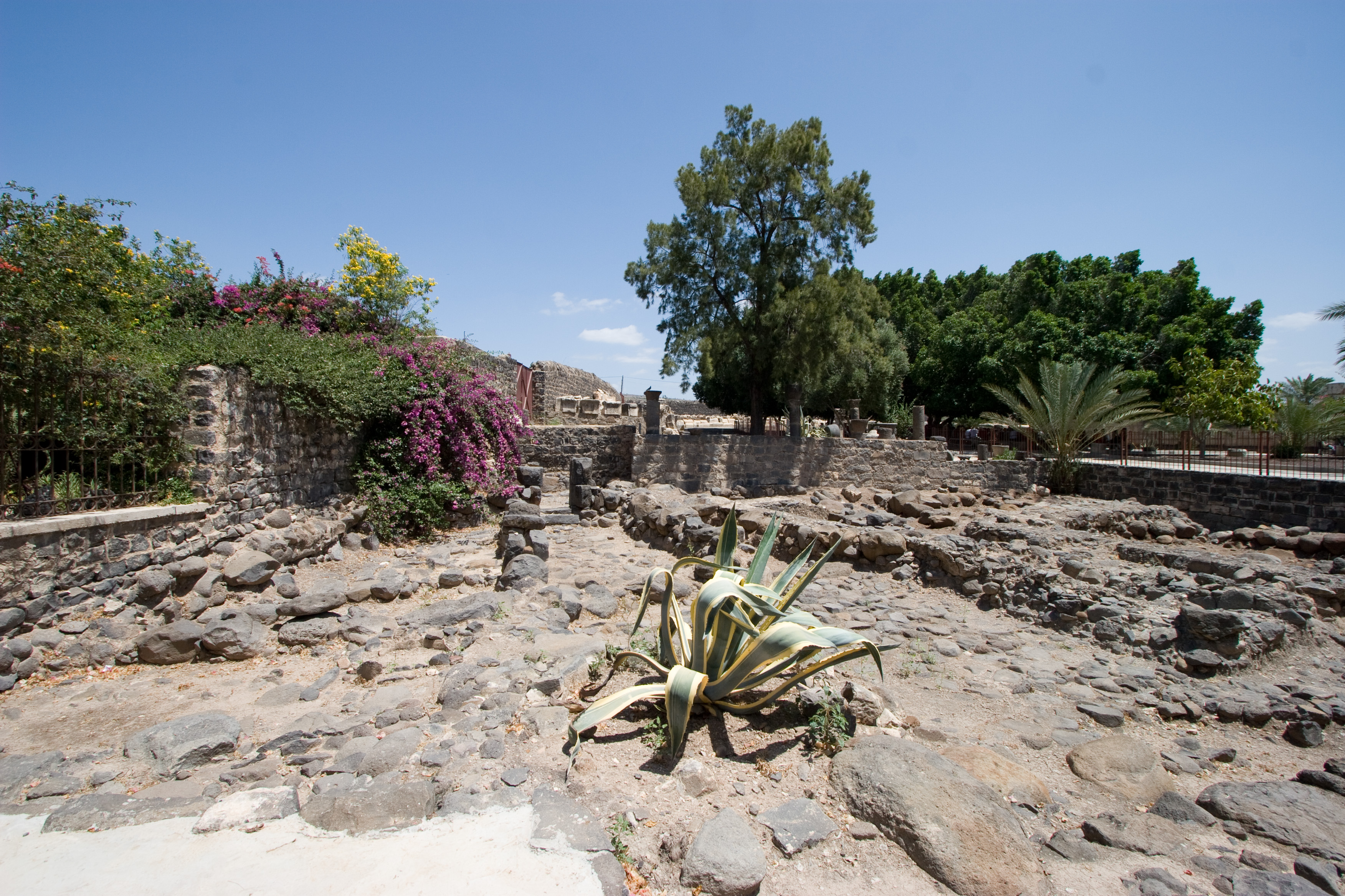 Ruins of a town at Capharnaum