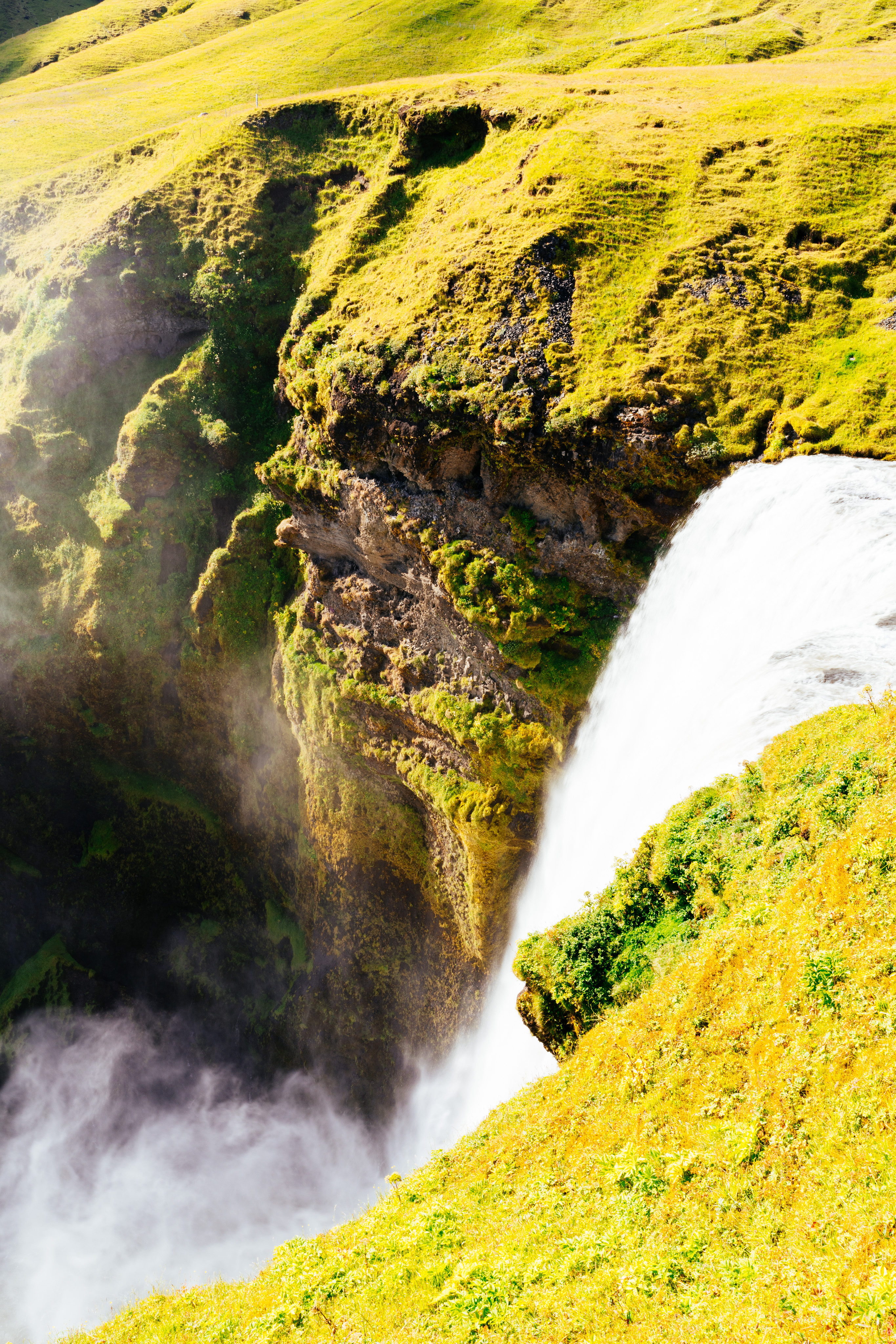 Foss