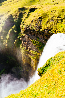 Foss