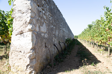 d'entre les murs II