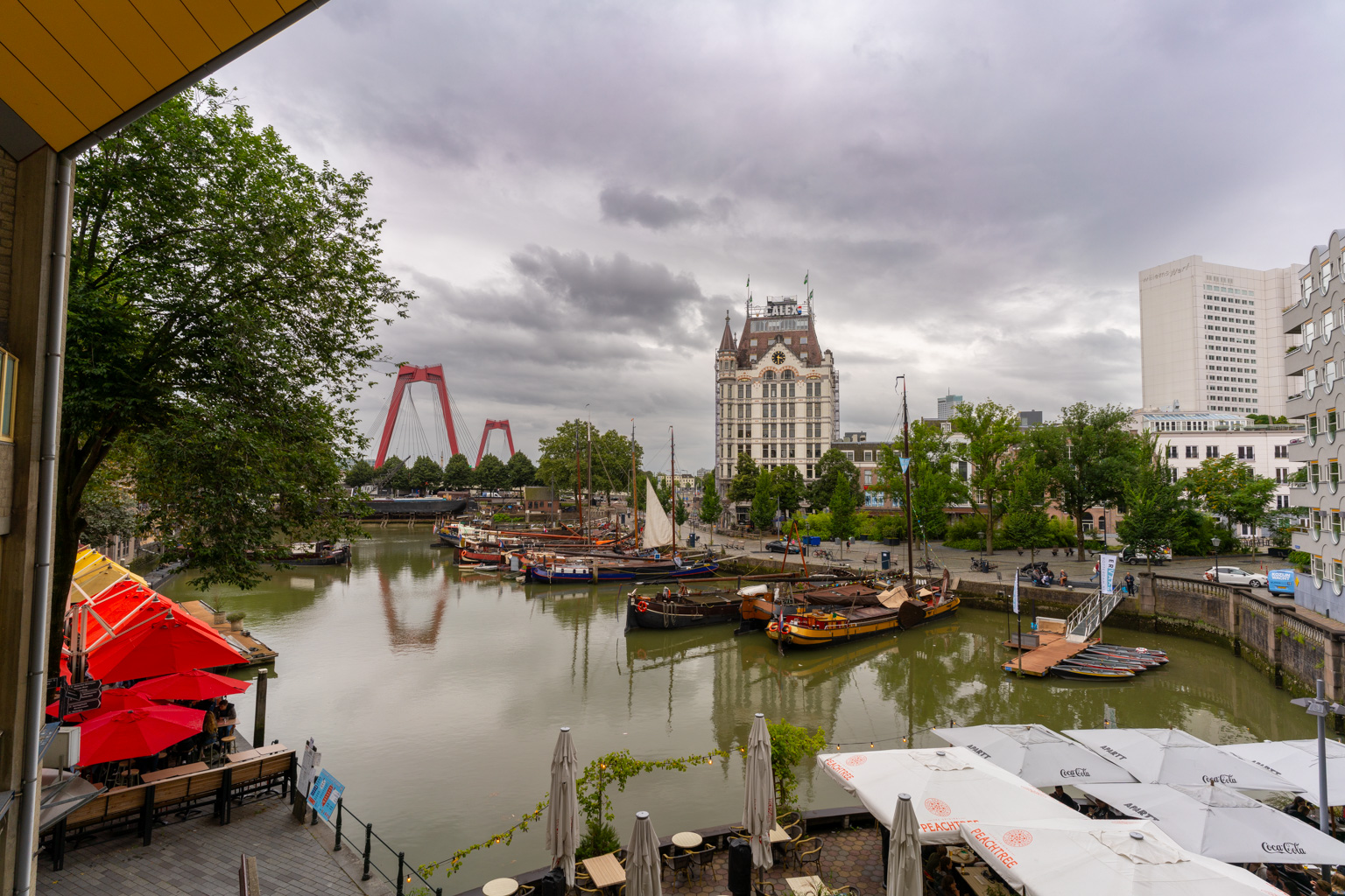 _DSC2490.ARW