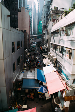 IMG_3135.CR2