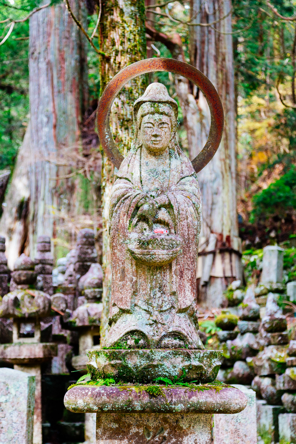 Koya-san II