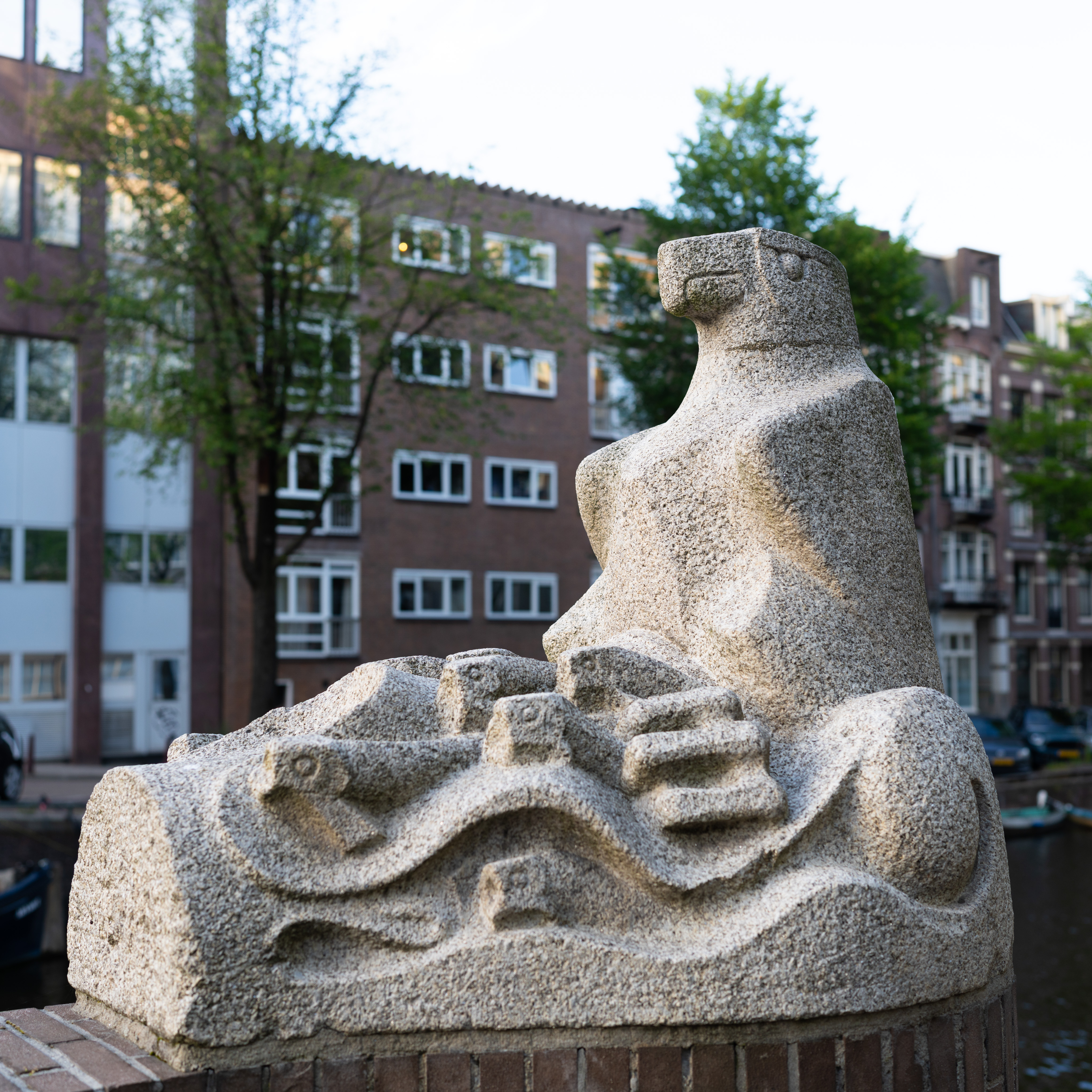 _DSC2154.ARW