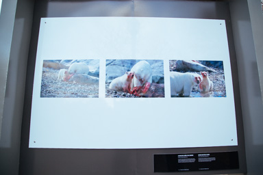 IMG_2418.CR2